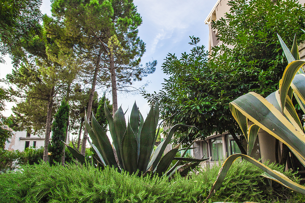 Espaces verts et nature